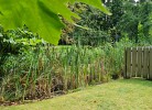 Landblick 0