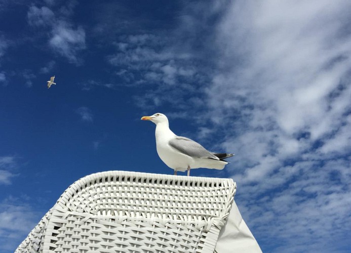 Wunderbares Norddeich