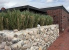 Wilde Brise 3